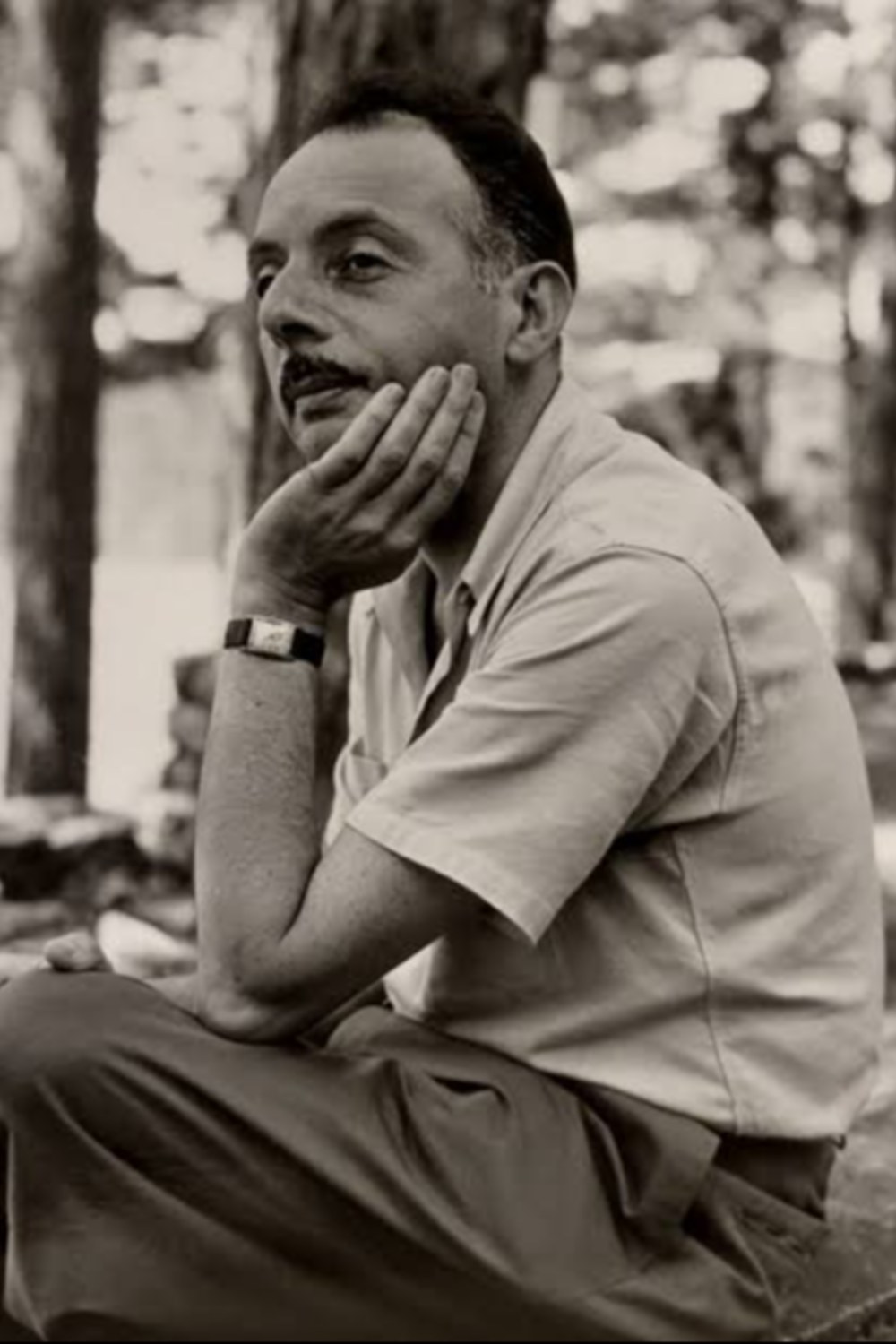 Stanley Kunitz: Puisi Sempurna di Kepala, Bahasa Merusaknya
