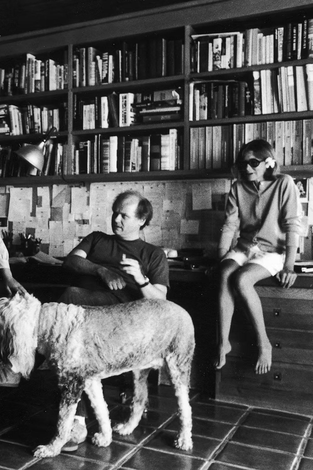 Jurnal Didion yang Mengungkap Sisi Sangat Intim Dirinya yang Sebelumnya tidak Diketahui—Rasa Sakit.